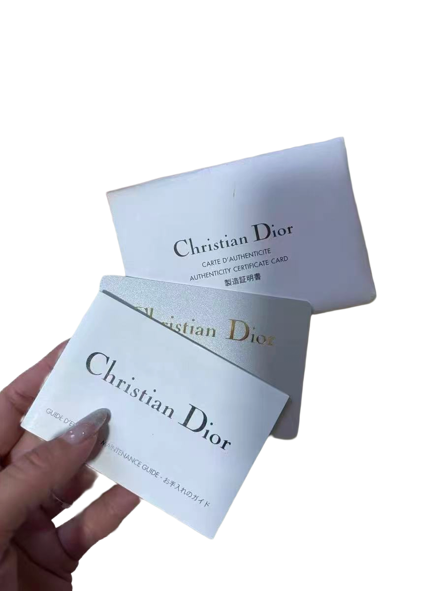 Vintage Dior SS03 Limited Edition “Victim” Clutch