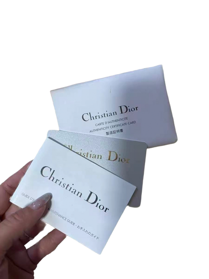 Vintage Dior SS03 Limited Edition “Victim” Clutch